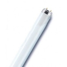 Лампа линейная люминесцентная ЛЛ 36вт L 36/640 G13 белая Osram