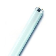 Лампа линейная люминесцентная ЛЛ 36вт L 36/840 G13 белая Osram