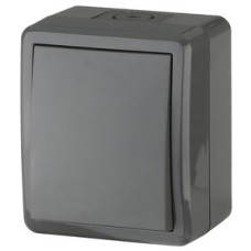 Переключатель IP54, 10АХ-250В, ОУ, Эра Эксперт, серый