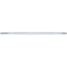 Лампа линейная люминесцентная ЛЛ 8вт NTL-Т4 840 G5 белая