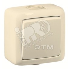 Выключатель одноклавишный наружный слоновая кость IP44 16А